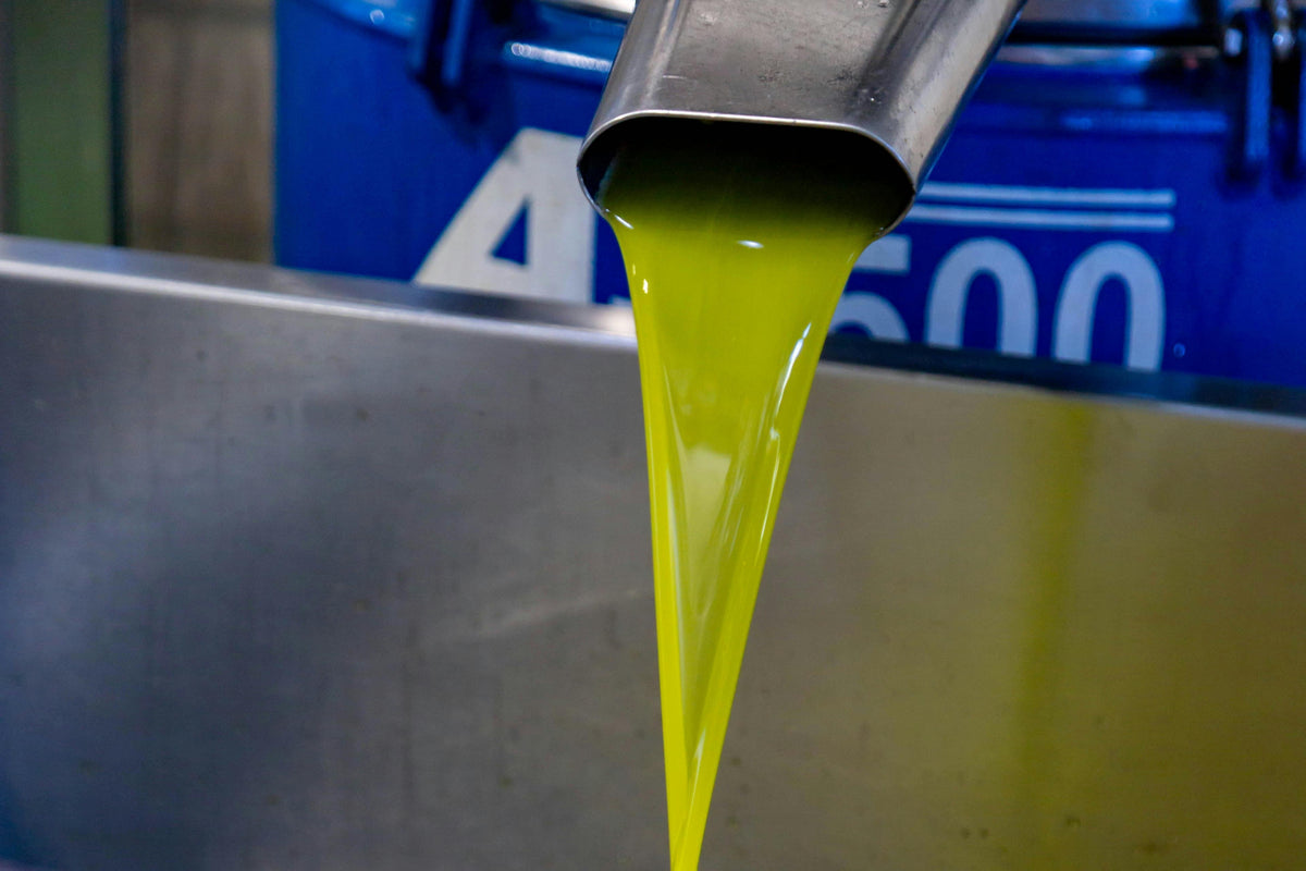 Serious Eats Best Olive Oil: What Their Picks Miss